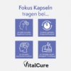 26修改版 VitalCure Fokus Kapseln
