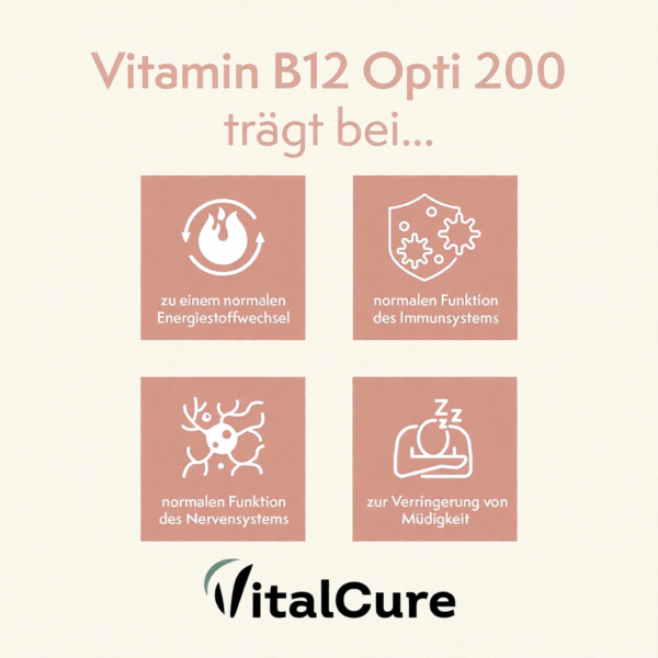27修改版 VitalCure Vitamin B12 Opti 200 Tabletten