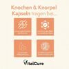8修改版 VitalCure Knochen & Knorpel Kapseln